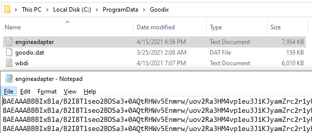 Goodix Folder, containing logs. Logs contain lots of encrypted and base64 encoded data.